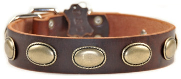 Dean and Tyler Retro Rulz Dog Colar Black-19in-21in