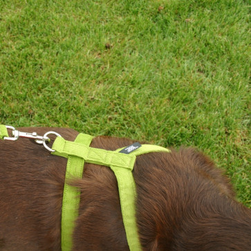 The Good Dog Company Hemp Corduroy Harness Collection-1"" Medium Avocado Hemp Corduroy Harness