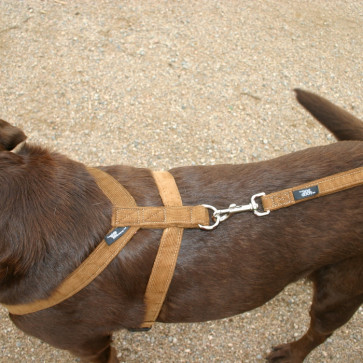 The Good Dog Company Hemp Corduroy Harness Collection-1/2"" Bronze Hemp Corduroy Harness Extra Small