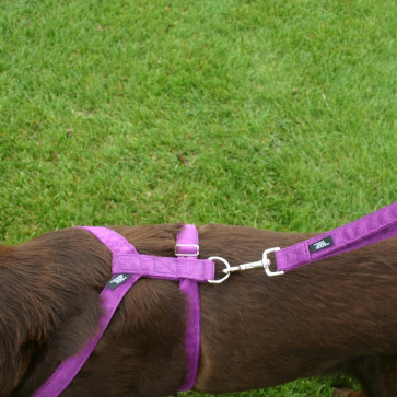 The Good Dog Company Hemp Corduroy Harness Collection-1"" Medium Plum Hemp Corduroy Harness