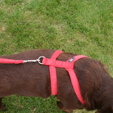 The Good Dog Company Hemp Corduroy Harness Collection-1/2"" Red Hemp Corduroy Harness TOY