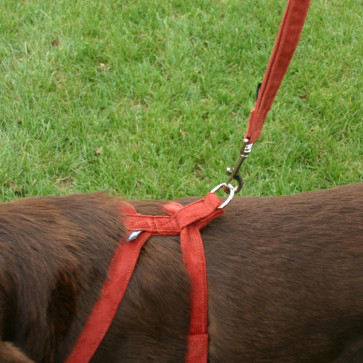 The Good Dog Company Hemp Corduroy Harness Collection-1/2"" Rust Hemp Corduroy Harness Extra Small