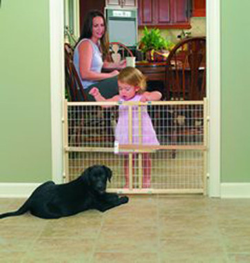 GMI 375 Guardmaster II Standard Wire Mesh Pressure Gate