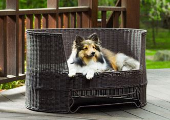 The Refined Feline Indoor/Outdoor Dog Day Bed Espresso In Three Sizes-Extra Small