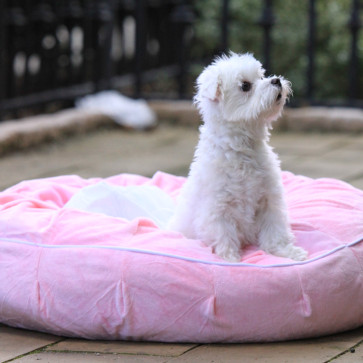 TEAFCO OTTO PET BED WITH HEAT RELEAVE PADDING / PINK