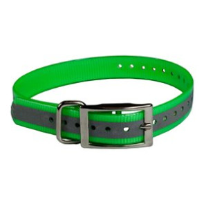 The Buzzard's Roost Reflective Collar Strap 1" Green 