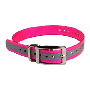 The Buzzard's Roost Reflective Collar Strap 1" Pink 