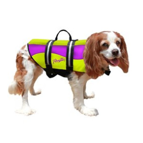 Pawz Pet Products Neoprene Dog Life Jacket Extra Small Yellow /Purple