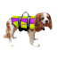 Neoprene Dog Life Jacket Small Yellow /Purple