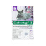Advantage Flea Control for Cats and Kittens Over 9 lbs 6  Month Supply PURPLE-20-6